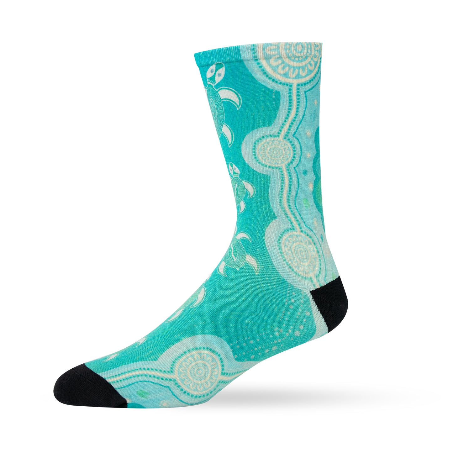 Swimming Turtle Family