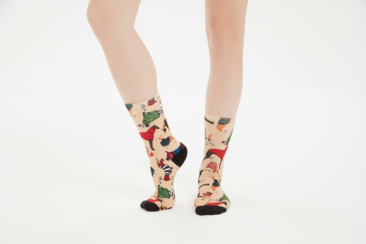 Raining Cats and Dogs