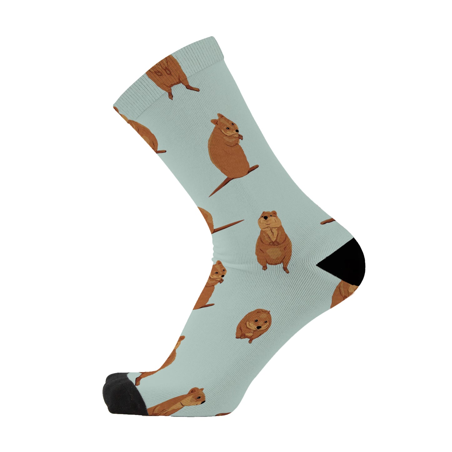 Cutie Quokka