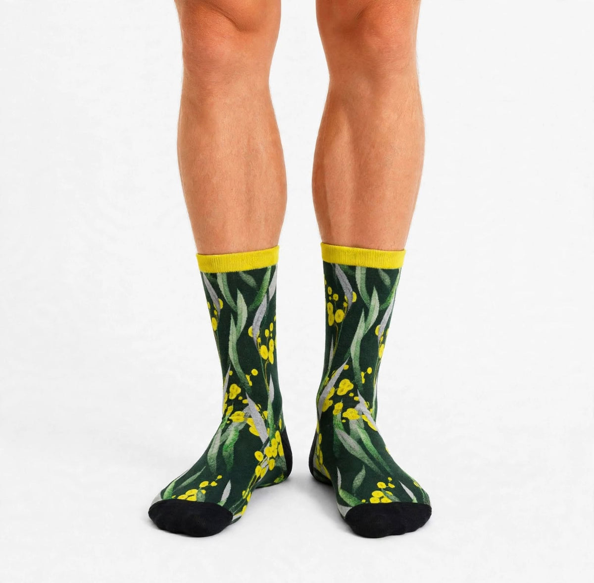 Native Wattle flower bamboo socks for men by red Fox Sox Australia. 